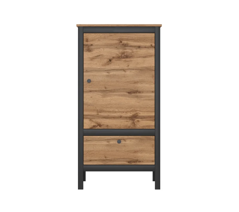 Шкаф LOFT REG1D1S/60