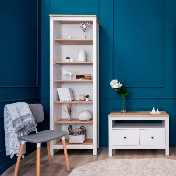 Стеллаж САГА 70