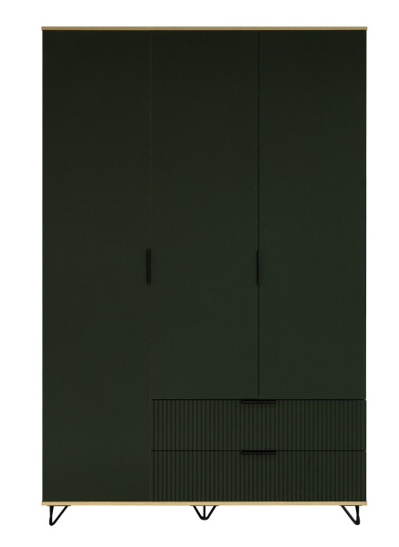 Шкаф для одежды 3д Рокси П6.948.1.01 (Грин Софт+Дуб Кантри золотой)