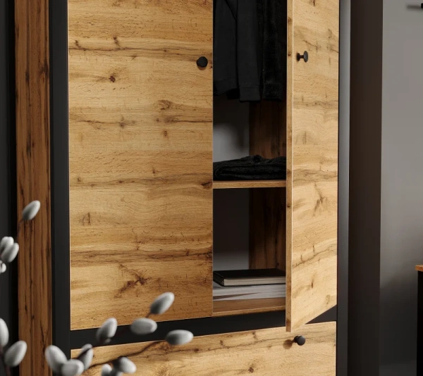 Шкаф LOFT SZF2D1S