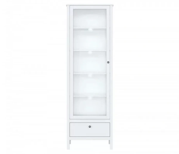 Шкаф с подсветкой EWA REG1W1S/65