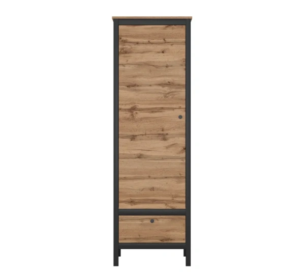 Шкаф LOFT REG1D1S