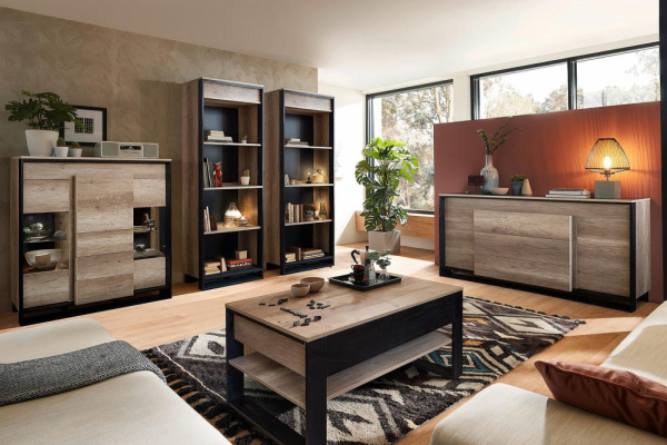 Гостиная Каньон Лофт 2