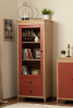 Шкаф книжный Вида №6